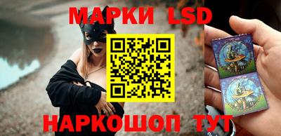 шишки Шелехов