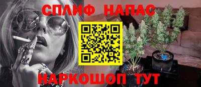 гидропоника Шахты