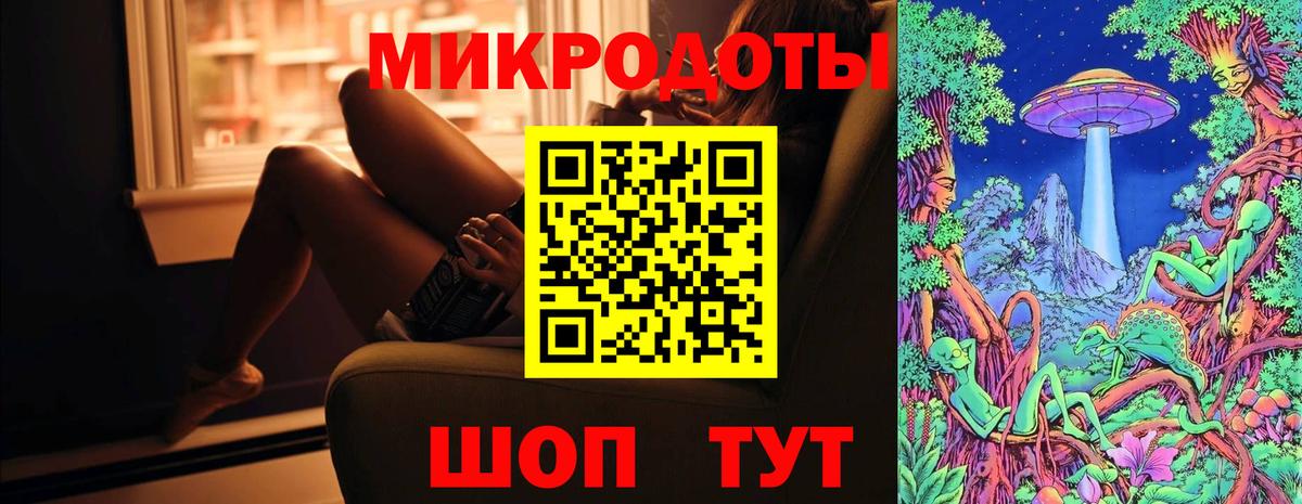Галлюциногенные грибы Psilocybe Вичуга