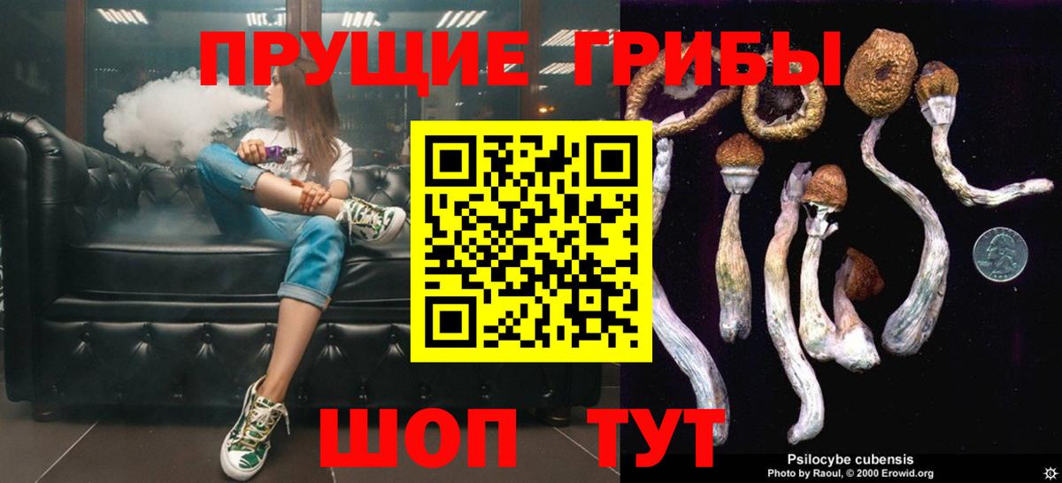 Вичуга  Галлюциногенные грибы мухоморы  Вход с VPN 