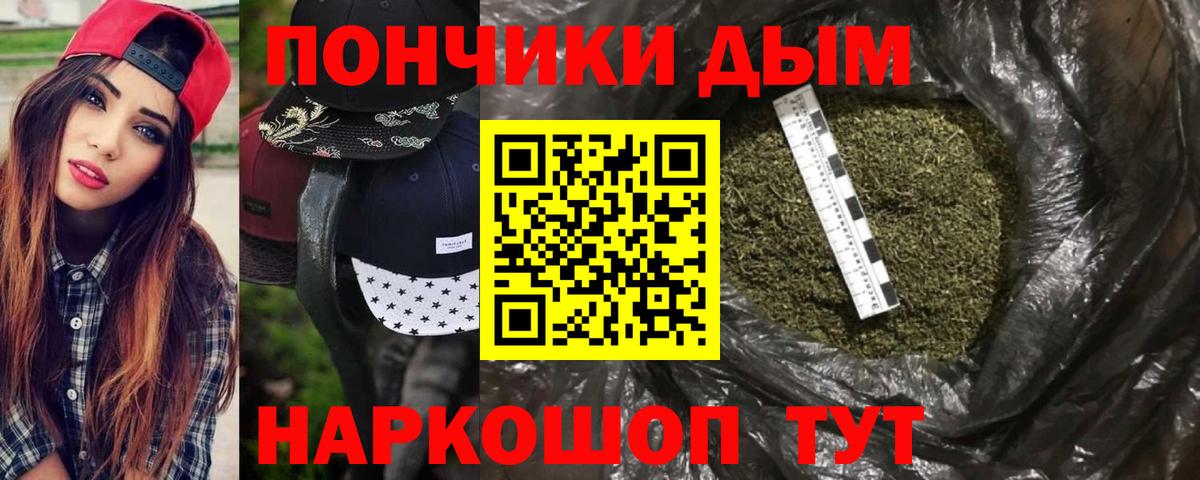 Вичуга  Бошки марихуана планчик  Каннабис сатива  Канабис сатива  МАРИХУАНА SATIVA & INDICA  Вход с VPN 